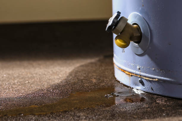 Best Fire Damage Restoration  in Wendell, ID
