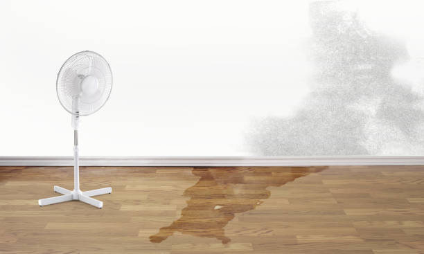 Best Sewage cleanup and water damage restoration  in Wendell, ID